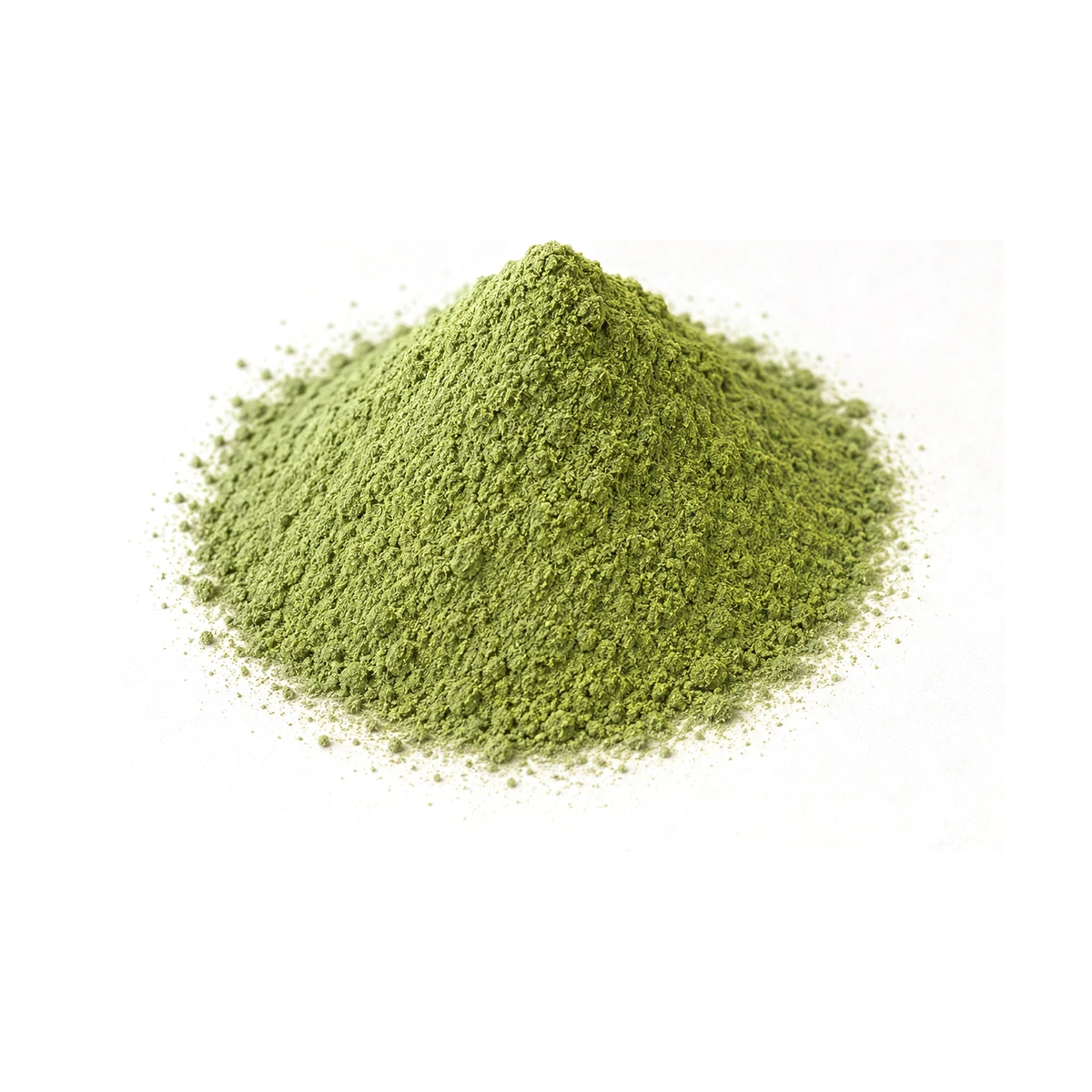 Freeze Dried Basil — Powder