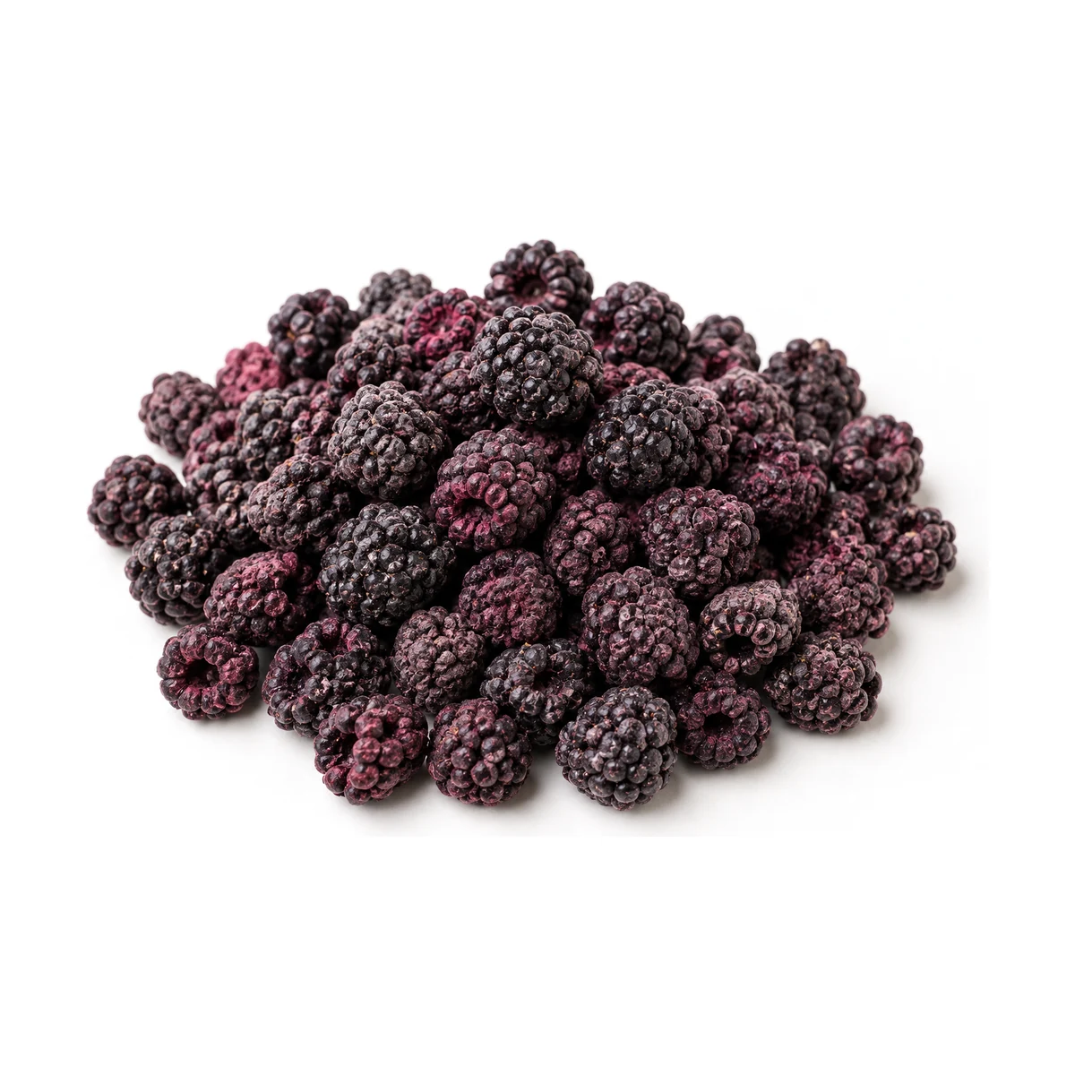 Freeze Dried Blackberry — Whole